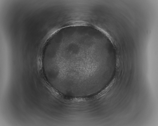 X0000116481407200912161243