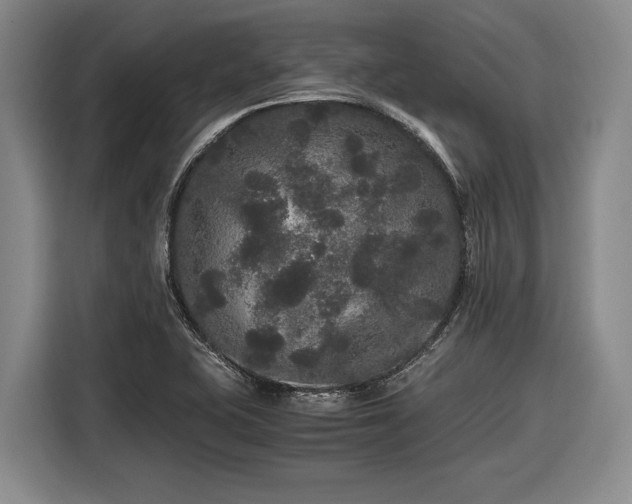 X0000116481415200912161243