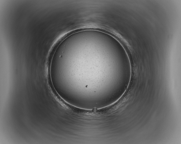 X0000116481416200912161243