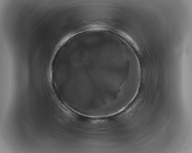 X0000116481419200912161243