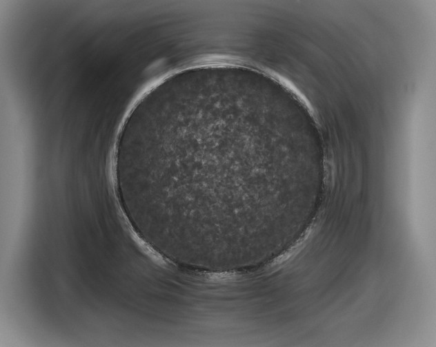 X0000116481421200912161243