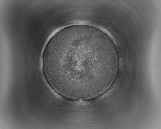 X0000116481424200912161243