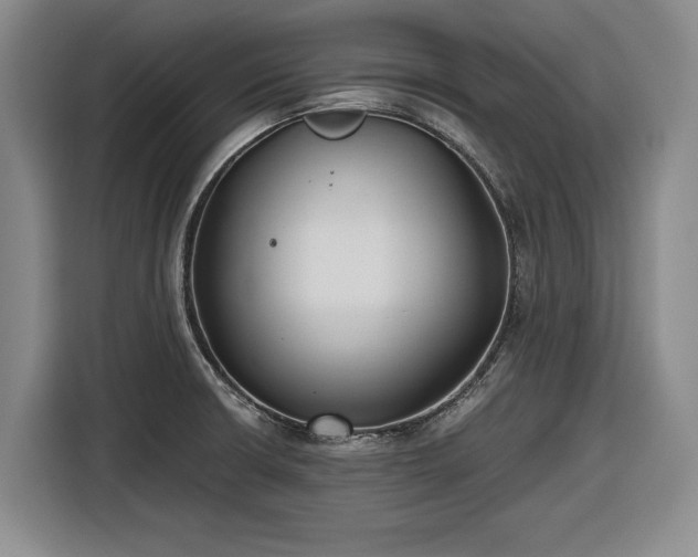 X0000116481426200912161243