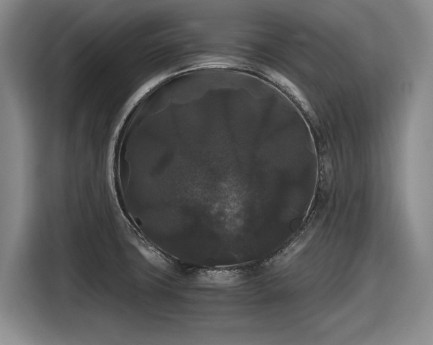 X0000116481427200912161243