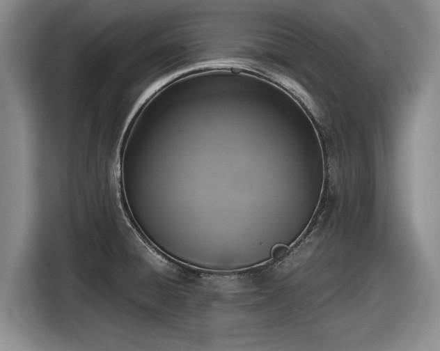 X0000116481428200912161243