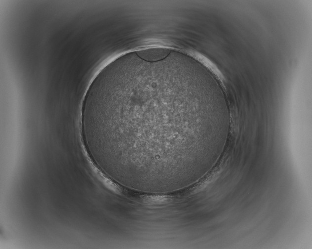 X0000116481431200912161243