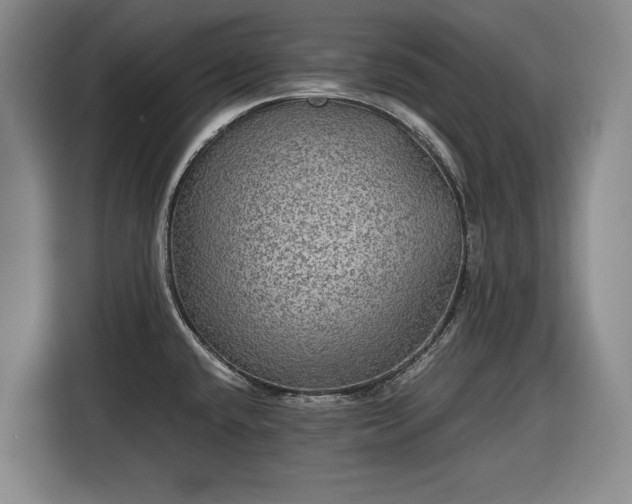 X0000116481432200912161243