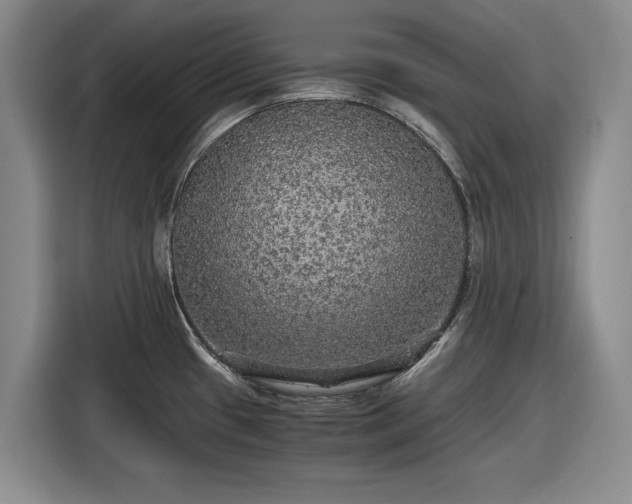 X0000116481433200912161243