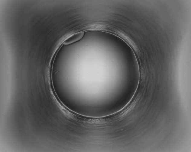 X0000116481434200912161243