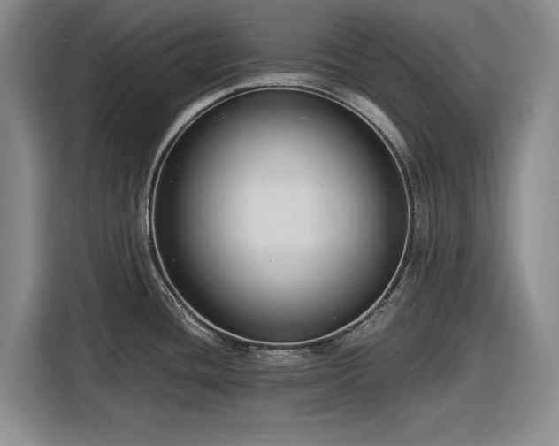 X0000116481436200912161243