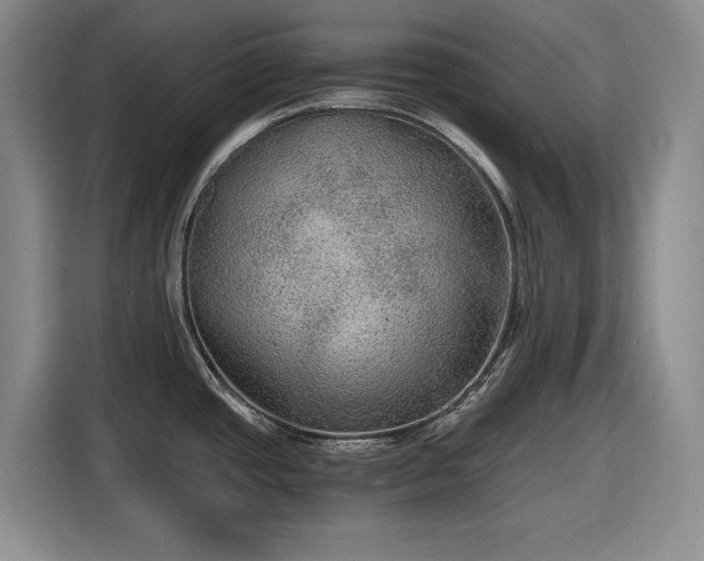 X0000116481437200912161243