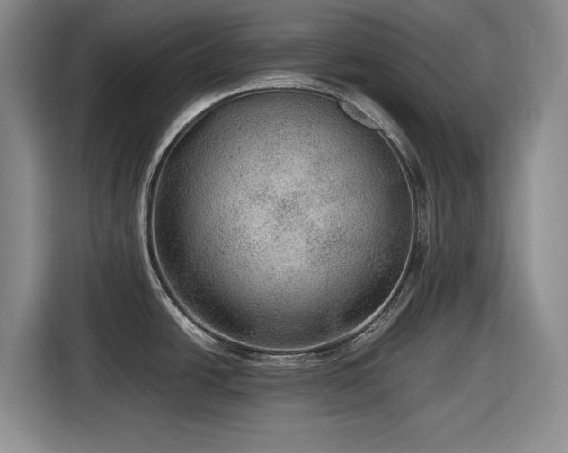 X0000116481438200912161243