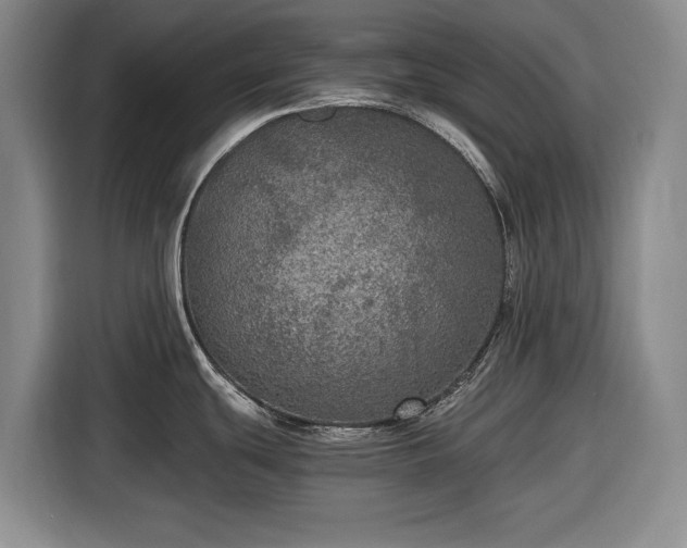 X0000116481439200912161243