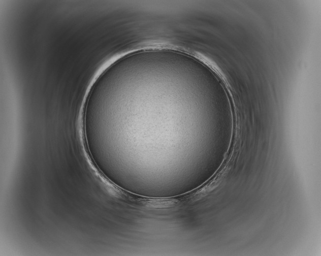 X0000116481440200912161243