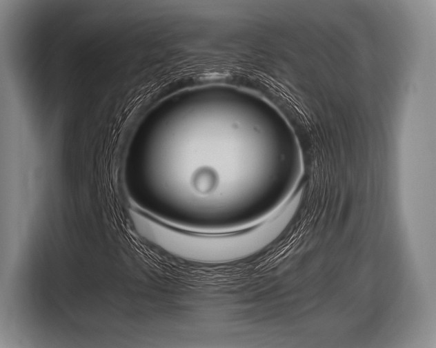 X0000116481441200912161243