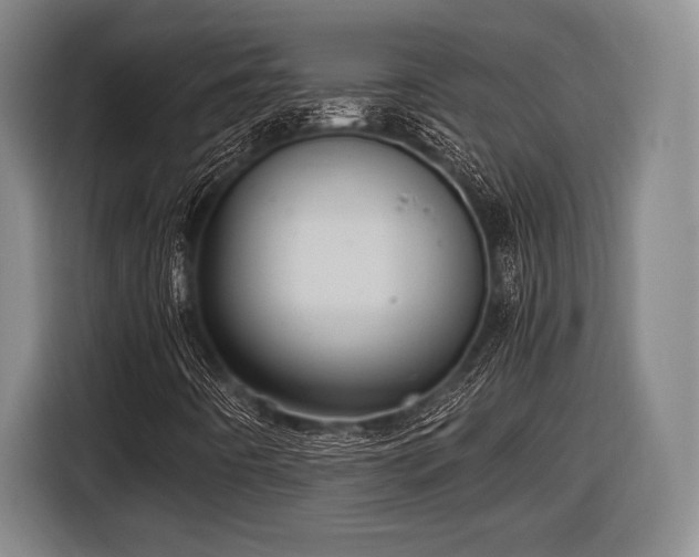 X0000116481442200912161243