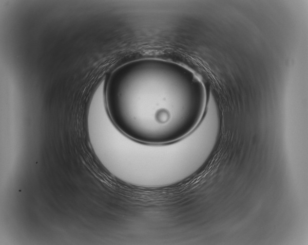 X0000116481444200912161243