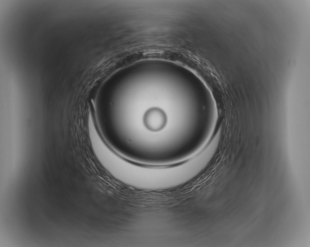 X0000116481445200912161243