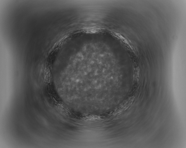 X0000116481446200912161243