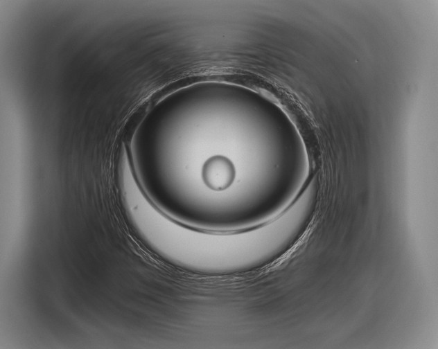 X0000116481449200912161242