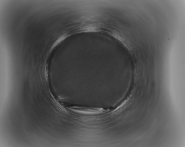 X0000116481450200912161242