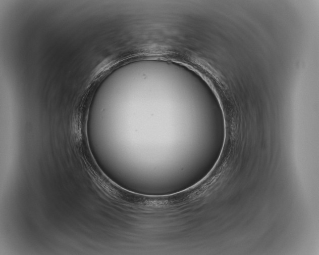 X0000116481451200912161242