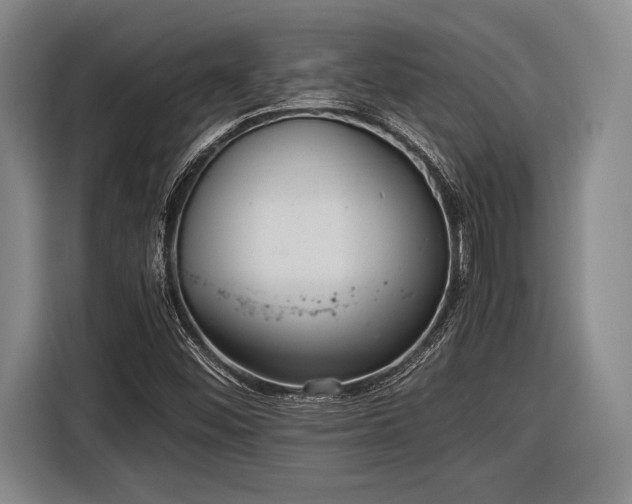 X0000116481452200912161242