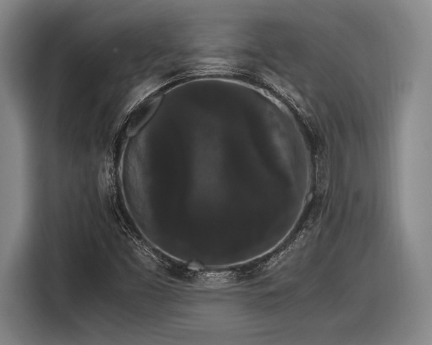 X0000116481453200912161242