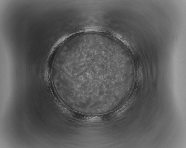 X0000116481454200912161242