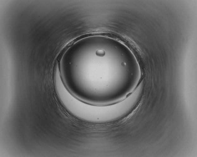 X0000116481457200912161242