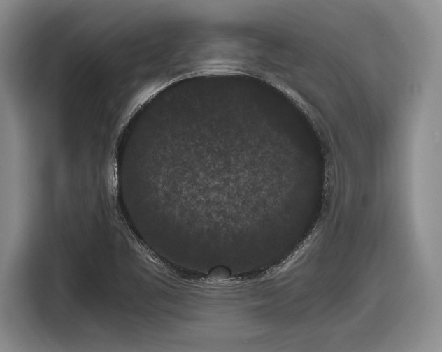 X0000116481461200912161242