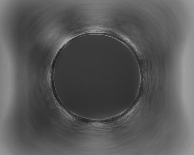 X0000116481463200912161242