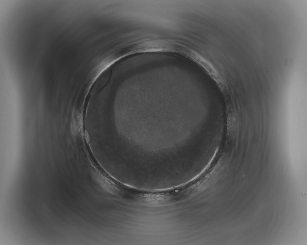 X0000116481465200912161242