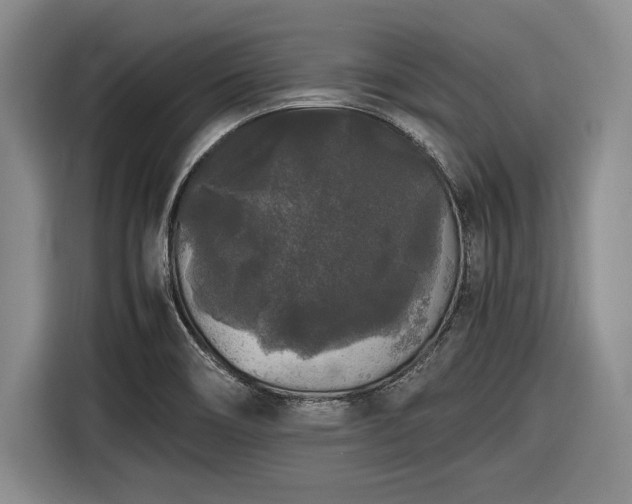 X0000116481466200912161242