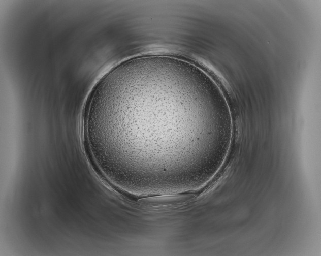 X0000116481467200912161242