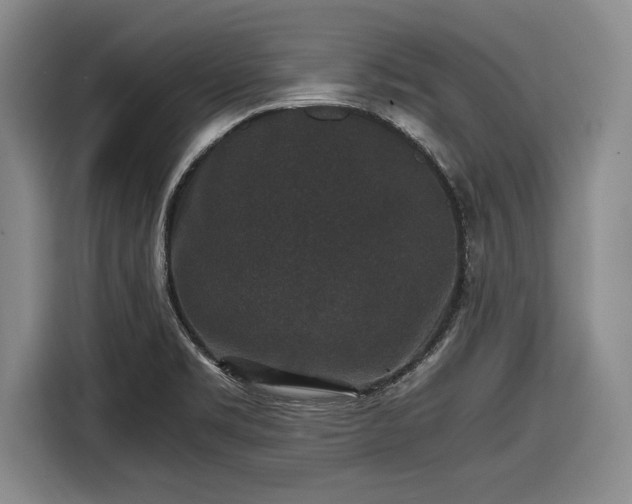 X0000116481469200912161242