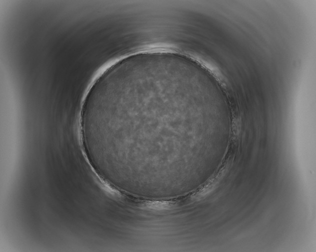 X0000116481470200912161242