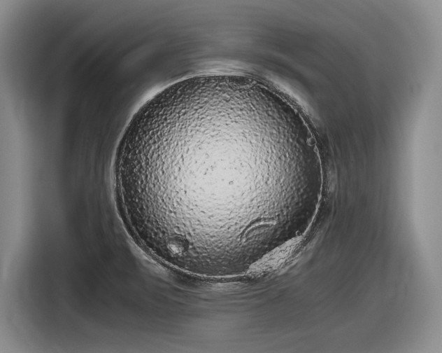 X0000116481471200912161242