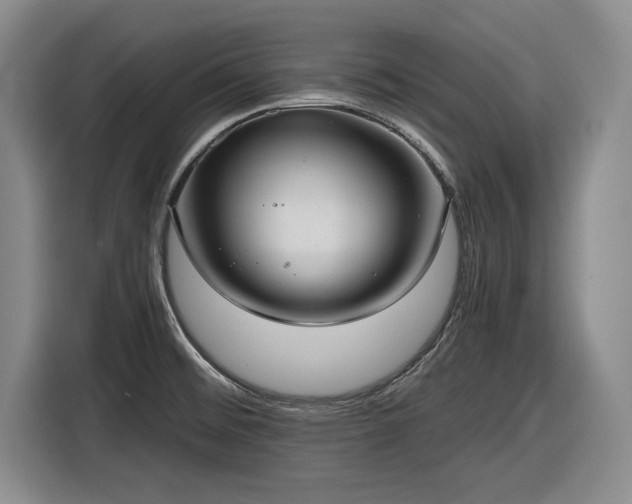 X0000116481476200912161242