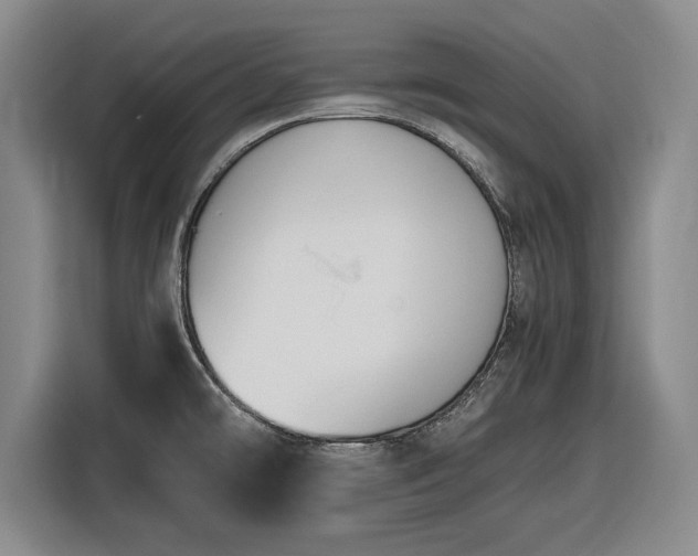 X0000116481478200912161242