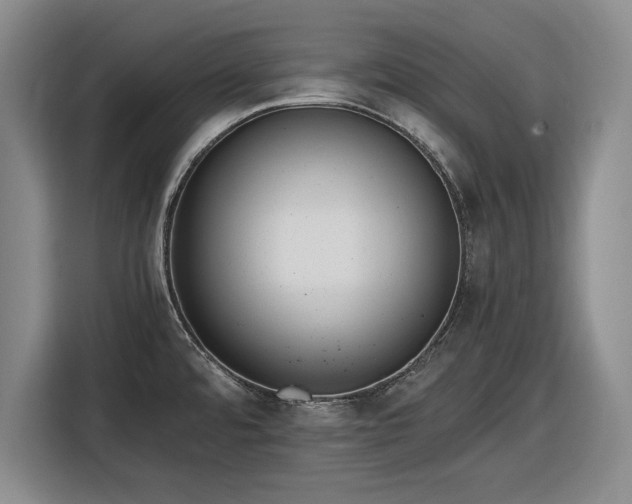 X0000116481480200912161242