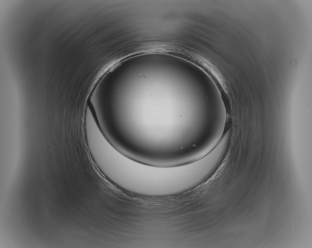 X0000116481481200912161242