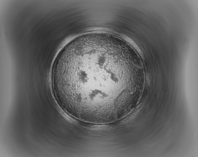 X0000116481482200912161242