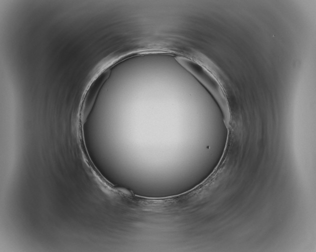 X0000116481485200912161242