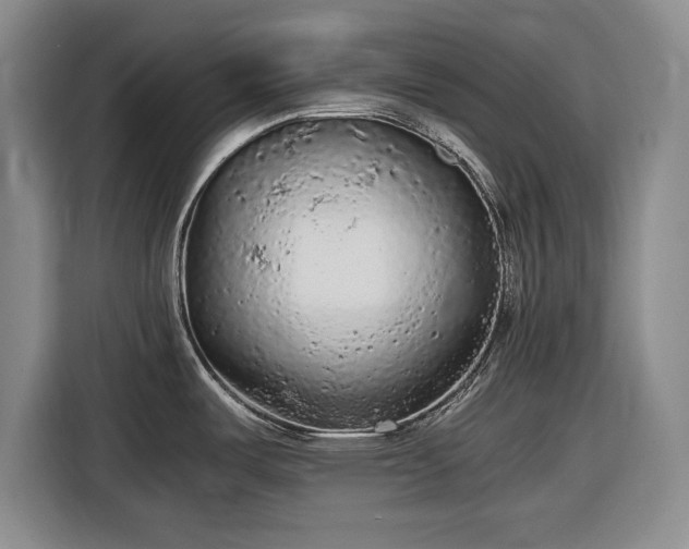 X0000116481487200912161242