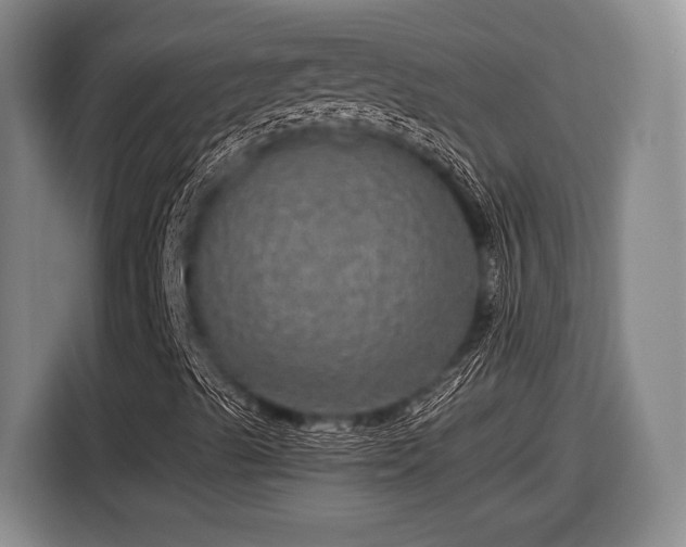 X0000116481489200912161241