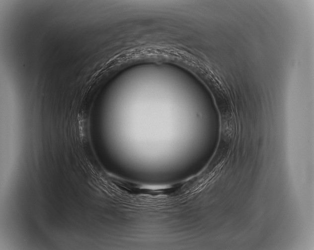 X0000116481490200912161241