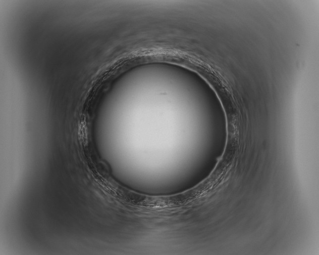 X0000116481493200912161241