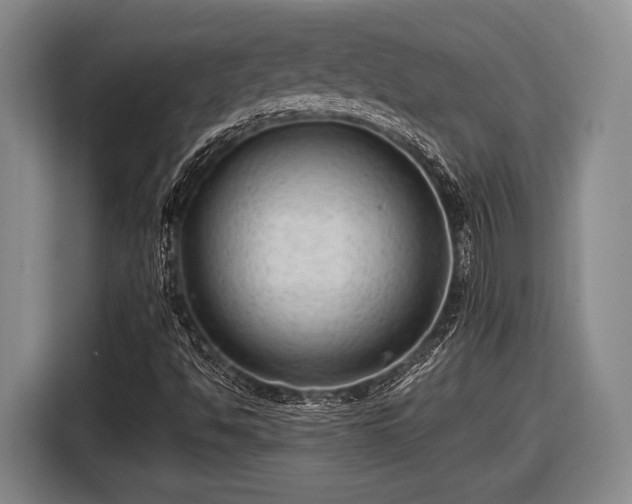 X0000116481494200912161241