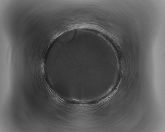 X0000116481497200912161241